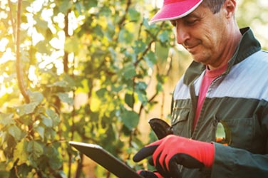 WorkWave Service lawn sell sheet thumbnail